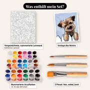 Malen nach Zahlen kleiner Hund hinter einem Zaun – Set-Inhalt: vorgezeichnete Leinwand, Farben, Pinsel