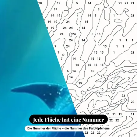 Malen nach Zahlen Delfin unter Wasser mit Korallenriff – nummerierte Leinwand zum Malen