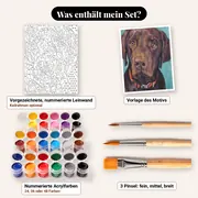 Malen nach Zahlen brauner Labrador mit orangefarbenem Halsband – Set-Inhalt: vorgezeichnete Leinwand, Farben, Pinsel