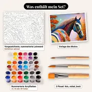 Malen nach Zahlen buntes Pferd und Mond – Set-Inhalt: vorgezeichnete Leinwand, Farben, Pinsel