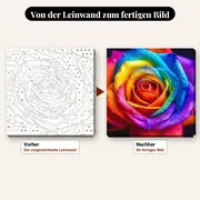 Malen nach Zahlen bunte Regenbogen-Rose – vorher und nachher: vorgezeichnete Leinwand und fertiges Gemälde