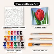 Malen nach Zahlen Rote Tulpe in Nahaufnahme – Set-Inhalt: vorgezeichnete Leinwand, Farben, Pinsel