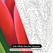 Malen nach Zahlen Rote Tulpe in Nahaufnahme – Nahaufnahme der nummerierten Leinwand