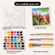 Malen nach Zahlen Frühling: Tulpenfeld unter blauem Himmel – Set-Inhalt: vorgezeichnete Leinwand, Farben, Pinsel