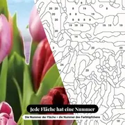 Malen nach Zahlen Frühling: Tulpenfeld unter blauem Himmel – Nahaufnahme der nummerierten Leinwand