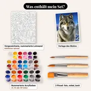 Malen nach Zahlen Grauer Wolf unter den Sternen – Set-Inhalt: vorgezeichnete Leinwand, Farben, Pinsel