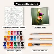 Malen nach Zahlen Frühling: Drei bunte Tulpen auf Salbeigrün – Set-Inhalt: vorgezeichnete Leinwand, Farben, Pinsel