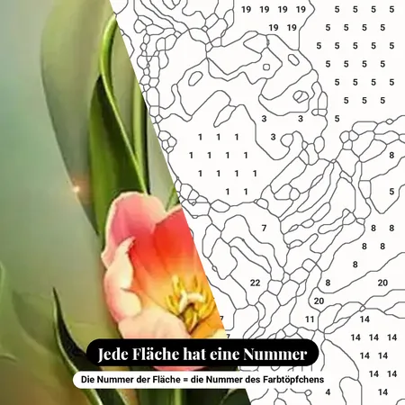 Malen nach Zahlen Frühling: Drei bunte Tulpen auf Salbeigrün – nummerierte Leinwand zum Malen