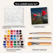 Malen nach Zahlen Rote Mohnblumen unter bewölktem Himmel – Set-Inhalt: vorgezeichnete Leinwand, Farben, Pinsel