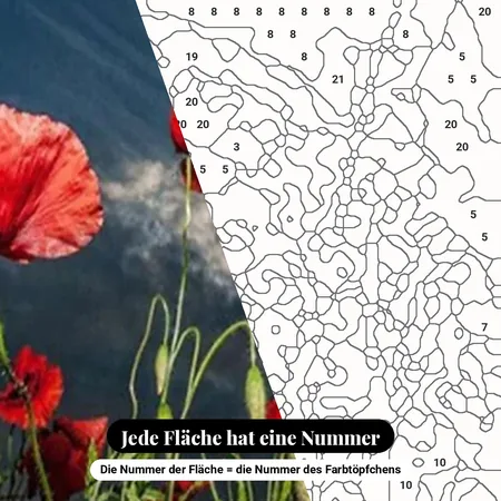 Malen nach Zahlen Rote Mohnblumen unter bewölktem Himmel – nummerierte Leinwand zum Malen