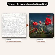 Malen nach Zahlen Rote Mohnblumen unter bewölktem Himmel – vorher und nachher: vorgezeichnete Leinwand und fertiges Gemälde