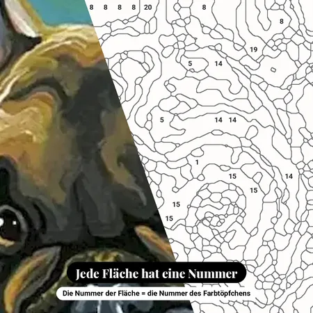 Malen nach Zahlen Französische Bulldogge auf blauem Kissen – nummerierte Leinwand zum Malen