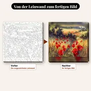 Malen nach Zahlen Wildes Mohnfeld mit goldenen Gräsern – vorher und nachher: vorgezeichnete Leinwand und fertiges Gemälde